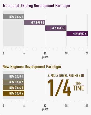 regimen-development-graphic